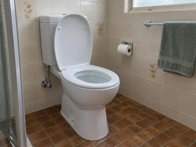 Clean white toilet in a tiled bathroom with towel rail and brown floor tiles in Matraville
